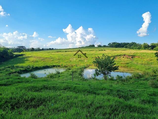 #218 - Sítio para Venda em Jales - SP