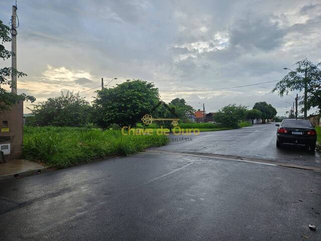 #250 - Área para Venda em Jales - SP - 3