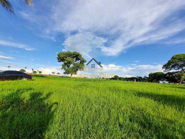 Venda em Perobinha - Jales