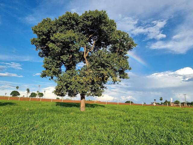 Chácara para Venda em Jales - 4